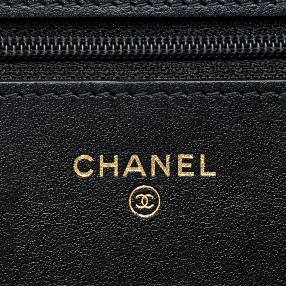 Pre-Loved Chanel Quilted Aged Calfskin Reissue 2.55 Wallet on Chain - Picture 5 of 7